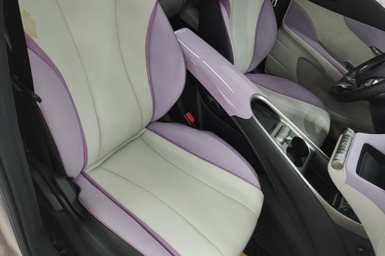 Used BYD Dolphin 2021 405 km Fashion Edition Right Front Seat
