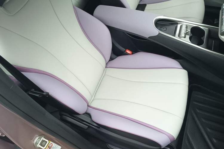 Used BYD Dolphin 2021 405 km Fashion Edition Right Front Seat