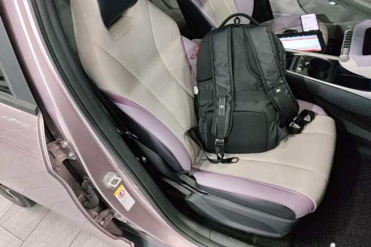 Used BYD Dolphin 2021 405 km Fashion Edition Right Front Seat