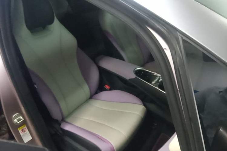 Used BYD Dolphin 2021 401km Knight Edition Right Front Seat