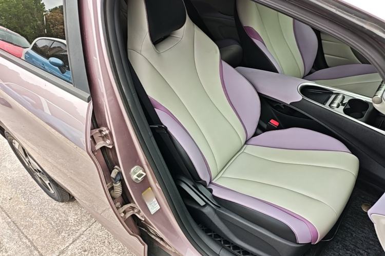Used BYD Dolphin 2021 405 km Fashion Edition Right Front Seat