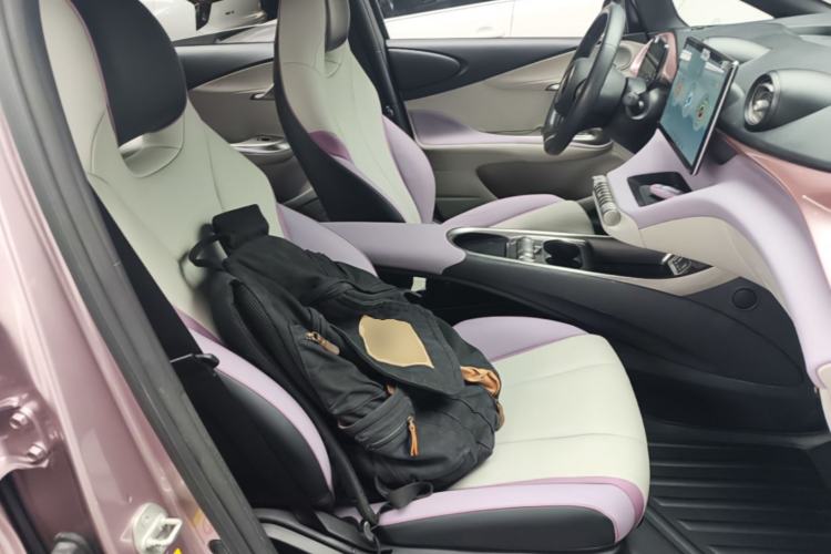 Used BYD Dolphin 2021 405 km Fashion Edition Right Front Seat