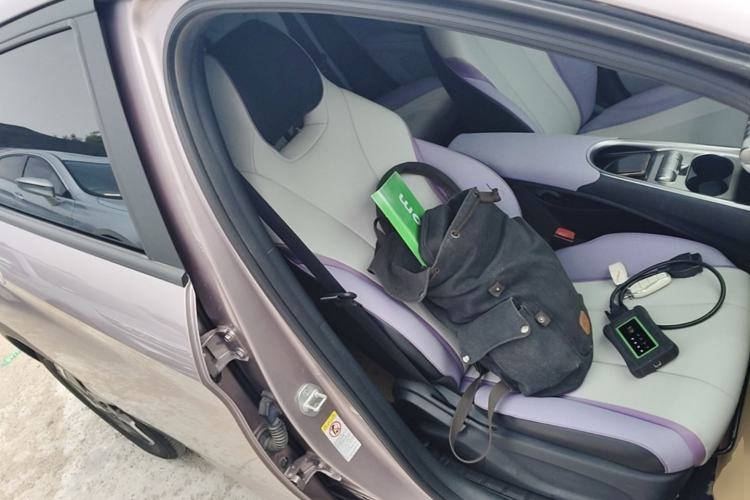 Used BYD Dolphin 2021 405 km Fashion Edition Right Front Seat