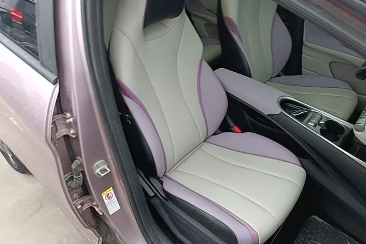 Used BYD Dolphin 2021 405 km Fashion Edition Right Front Seat