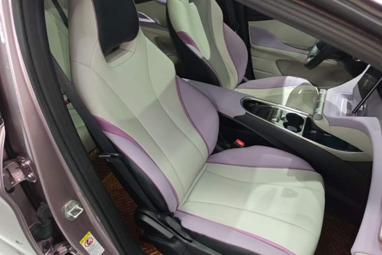 Used BYD Dolphin 2021 405 km Fashion Edition Right Front Seat