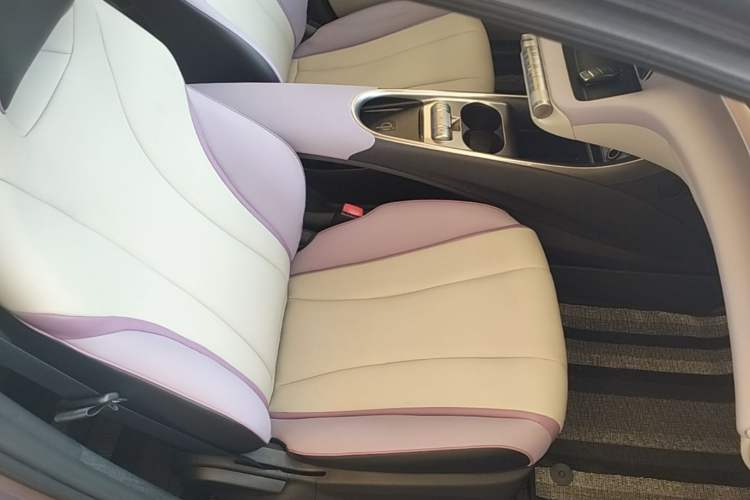 Used BYD Dolphin 2021 405 km Fashion Edition Right Front Seat
