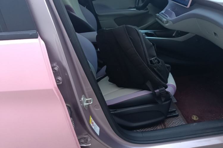 Used BYD Dolphin 2021 405 km Fashion Edition Right Front Seat
