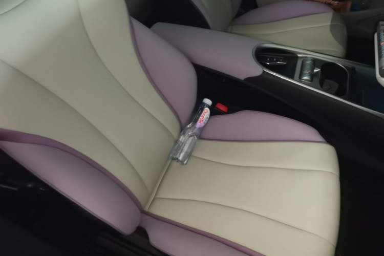 Used BYD Dolphin 2021 405 km Fashion Edition Right Front Seat