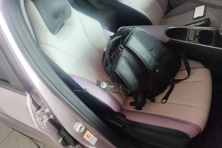 Used BYD Dolphin 2021 405 km Fashion Edition Right Front Seat