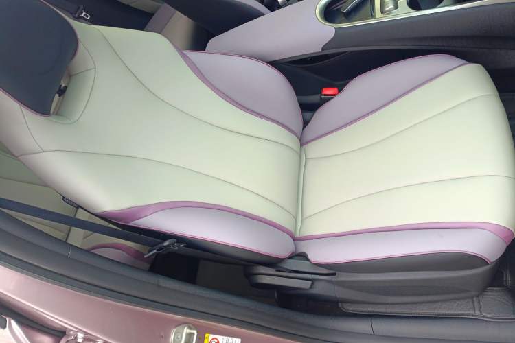 Used BYD Dolphin 2021 405 km Fashion Edition Right Front Seat