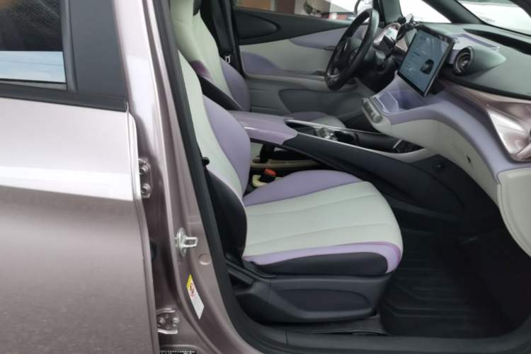 Used BYD Dolphin 2021 401km Knight Edition Right Front Seat