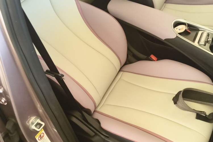 Used BYD Dolphin 2021 405 km Fashion Edition Right Front Seat