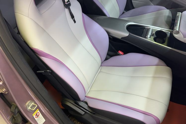 Used BYD Dolphin 2021 401km Knight Edition Right Front Seat