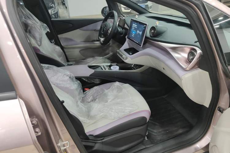 Used BYD Dolphin 2021 405 km Fashion Edition Right Front Seat