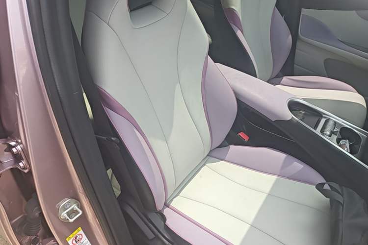 Used BYD Dolphin 2021 405 km Fashion Edition Right Front Seat