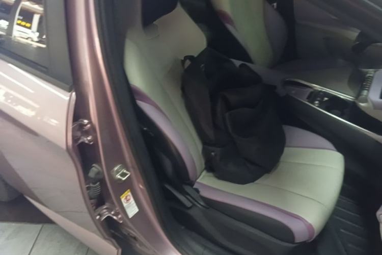 Used BYD Dolphin 2021 405 km Fashion Edition Right Front Seat