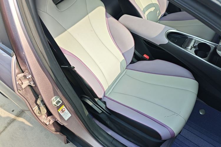 Used BYD Dolphin 2021 405 km Fashion Edition Right Front Seat