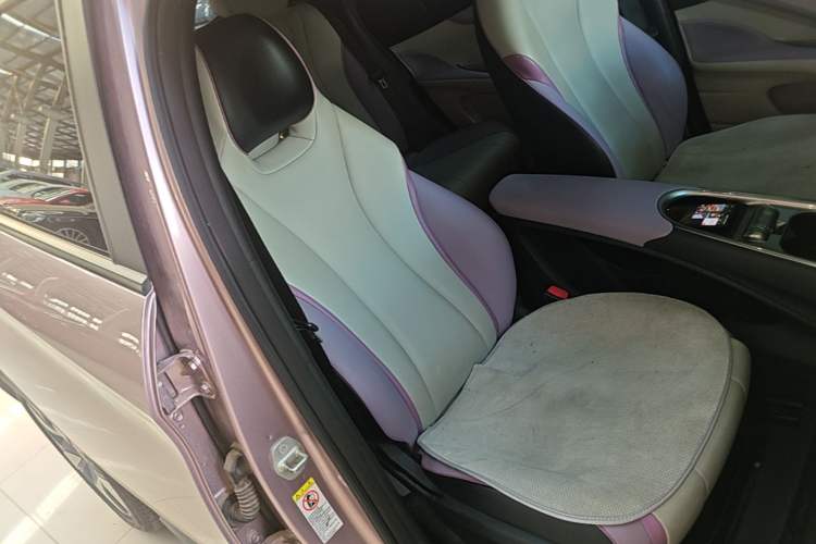 Used BYD Dolphin 2021 401km Knight Edition Right Front Seat