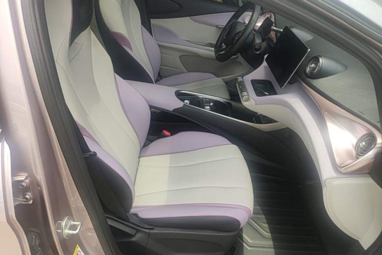 Used BYD Dolphin 2021 401km Knight Edition Right Front Seat