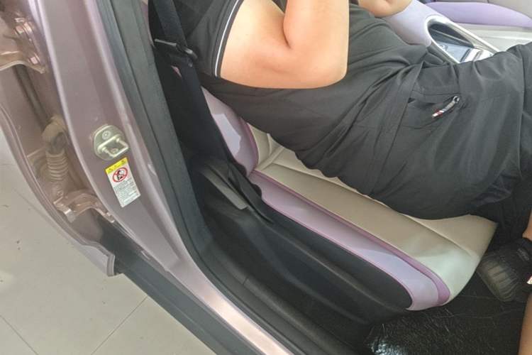 Used BYD Dolphin 2021 405 km Fashion Edition Right Front Seat
