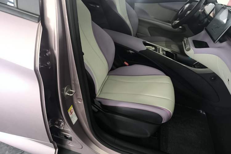 Used BYD Dolphin 2021 405 km Fashion Edition Right Front Seat