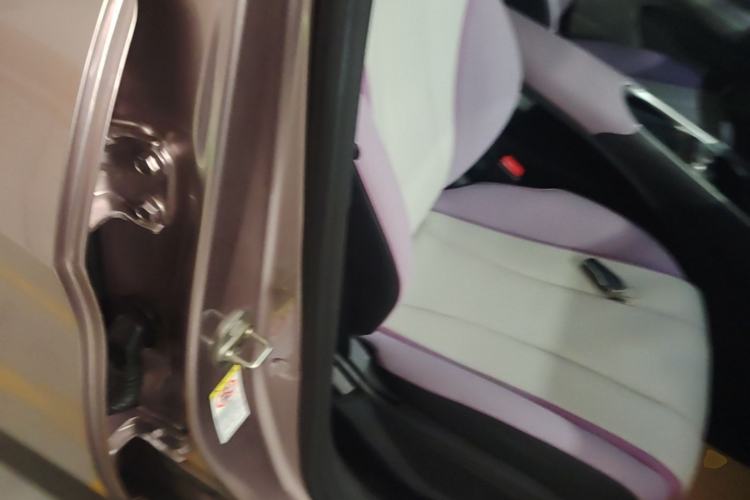 Used BYD Dolphin 2021 401km Knight Edition Right Front Seat