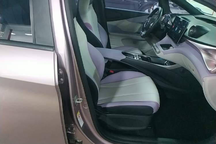 Used BYD Dolphin 2021 405 km Fashion Edition Right Front Seat