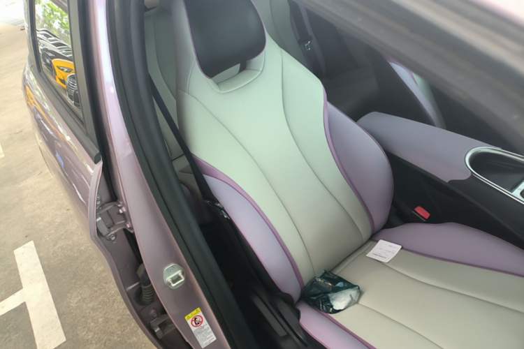 Used BYD Dolphin 2021 405 km Fashion Edition Right Front Seat