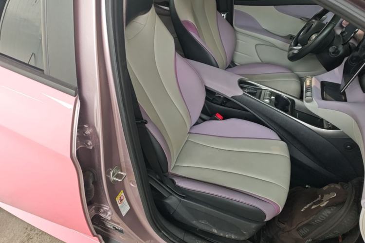 Used BYD Dolphin 2021 405 km Fashion Edition Right Front Seat