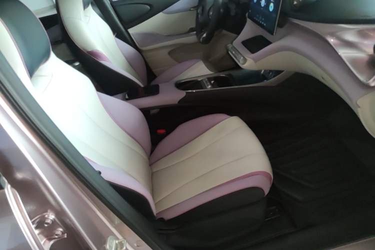 Used BYD Dolphin 2021 401km Knight Edition Right Front Seat