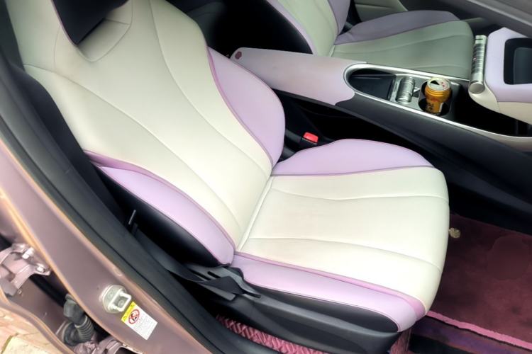 Used BYD Dolphin 2021 405 km Fashion Edition Right Front Seat