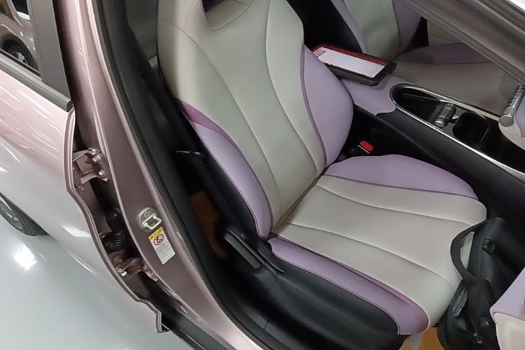 Used BYD Dolphin 2021 405 km Fashion Edition Right Front Seat