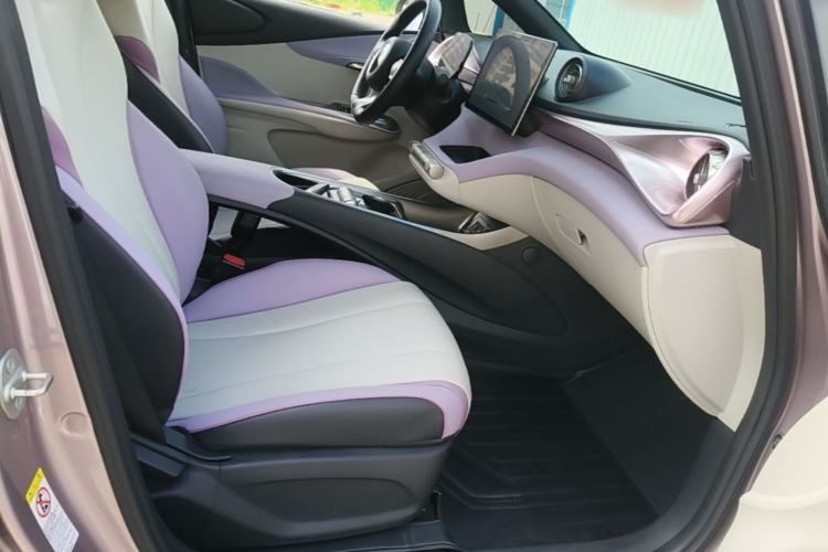 Used BYD Dolphin 2021 405 km Fashion Edition Right Front Seat