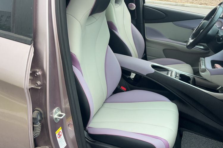 Used BYD Dolphin 2021 405 km Fashion Edition Right Front Seat