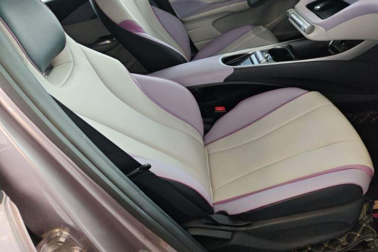 Used BYD Dolphin 2021 405 km Fashion Edition Right Front Seat