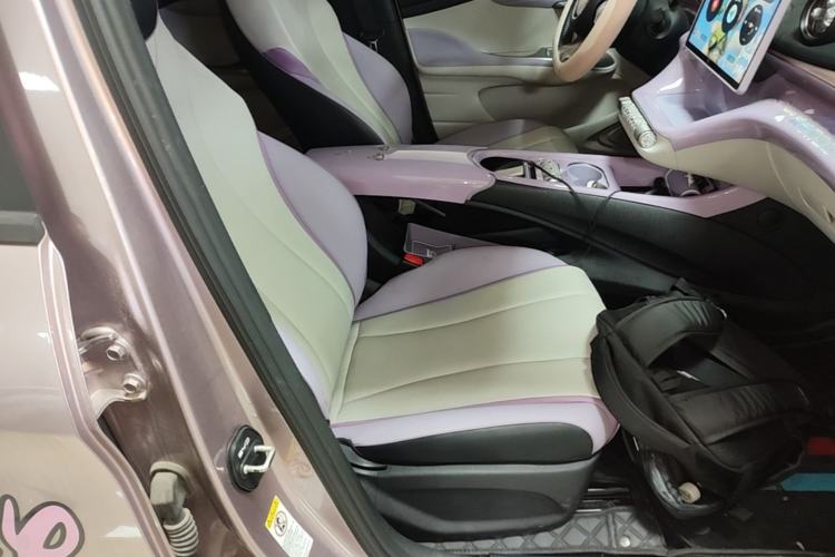 Used BYD Dolphin 2021 405 km Fashion Edition Right Front Seat