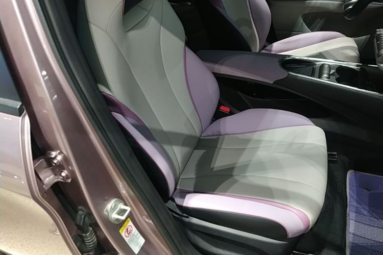 Used BYD Dolphin 2021 401km Knight Edition Right Front Seat
