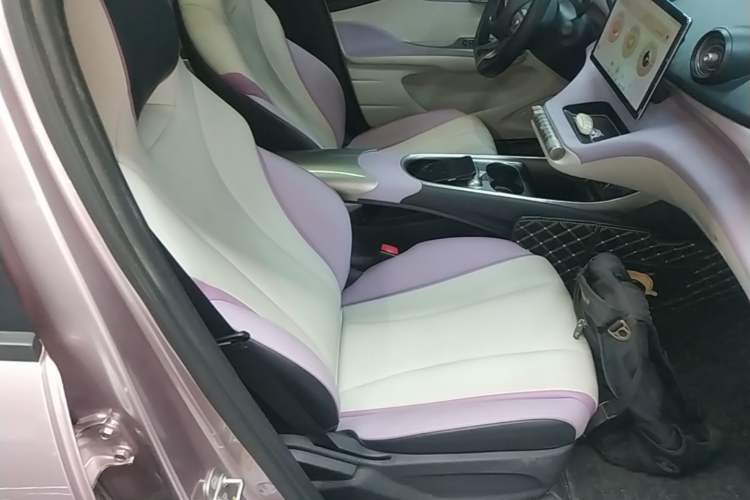 Used BYD Dolphin 2021 405 km Fashion Edition Right Front Seat