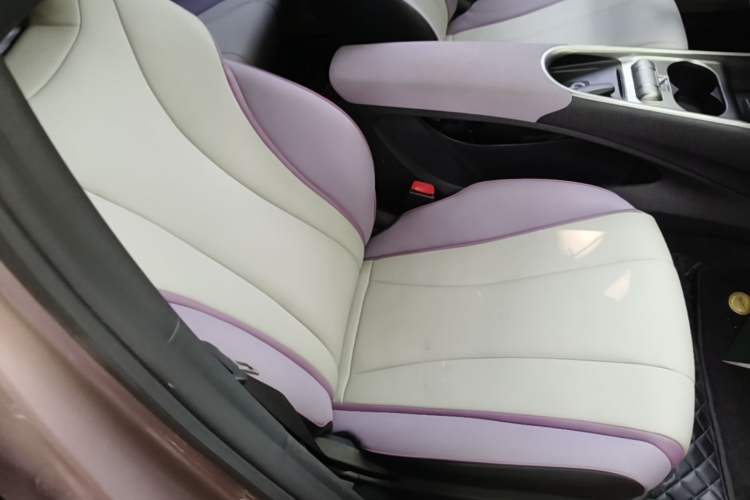 Used BYD Dolphin 2021 401km Knight Edition Right Front Seat