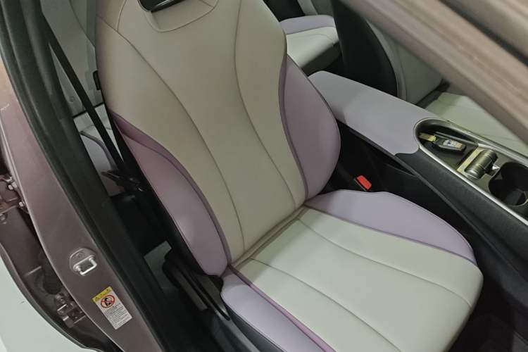 Used BYD Dolphin 2021 405 km Fashion Edition Right Front Seat