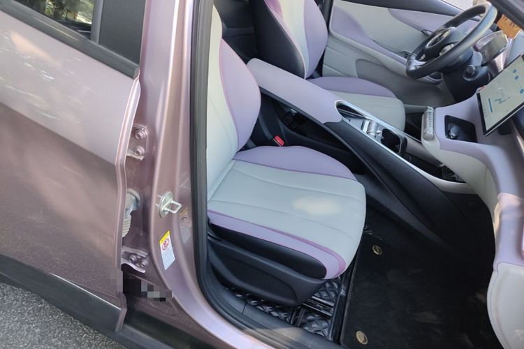 Used BYD Dolphin 2021 401km Knight Edition Right Front Seat