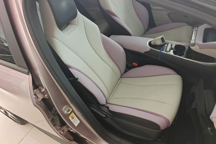 Used BYD Dolphin 2021 401km Knight Edition Right Front Seat