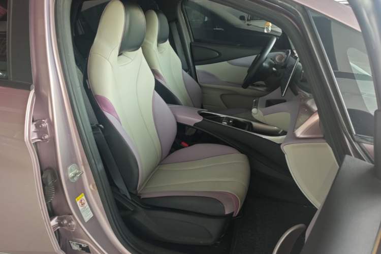 Used BYD Dolphin 2021 405 km Fashion Edition Right Front Seat
