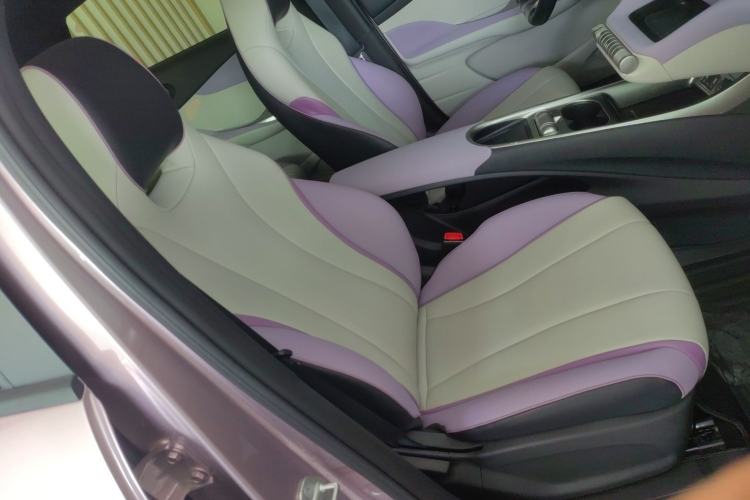 Used BYD Dolphin 2021 405 km Fashion Edition Right Front Seat