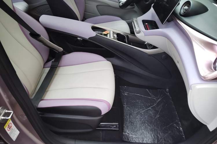 Used BYD Dolphin 2021 405 km Fashion Edition Right Front Seat