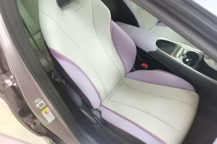 Used BYD Dolphin 2021 405 km Fashion Edition Right Front Seat