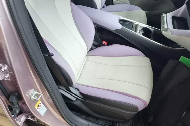 Used BYD Dolphin 2021 405 km Fashion Edition Right Front Seat