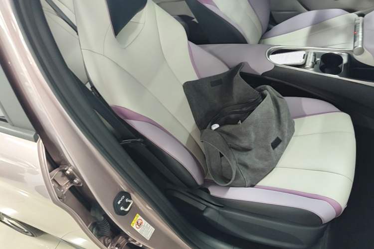 Used BYD Dolphin 2021 401km Knight Edition Right Front Seat