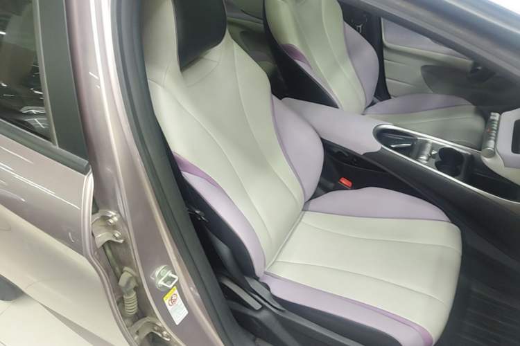 Used BYD Dolphin 2021 405 km Fashion Edition Right Front Seat