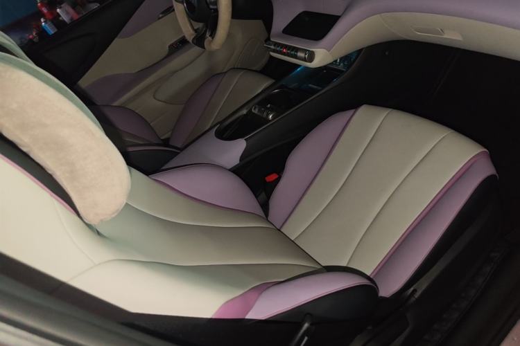 Used BYD Dolphin 2021 405 km Fashion Edition Right Front Seat